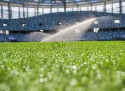 瓜迪奥拉如,何将世界级,前锋哈兰德,太阳城,太阳城娱乐,太阳城app,太阳城赌场